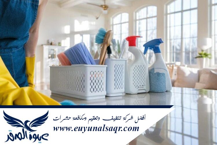 شركة تنظيف حي الربوة