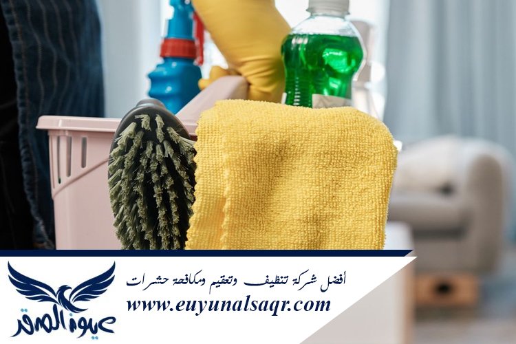 شركة تنظيف حي الربوة