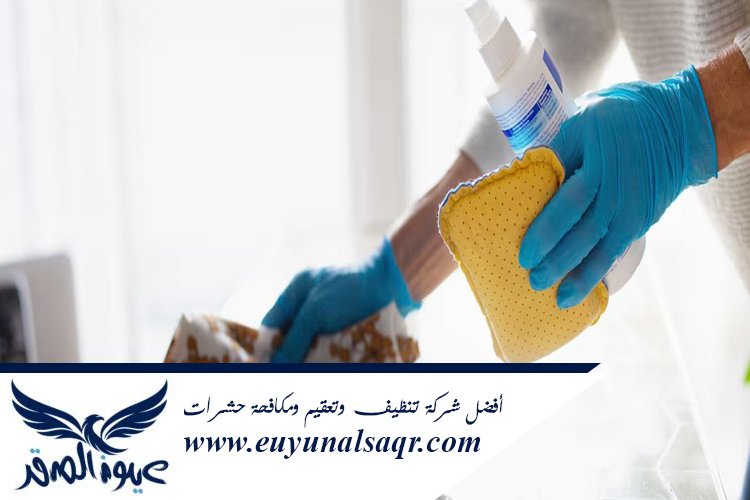 شركة تنظيف حي الربوة