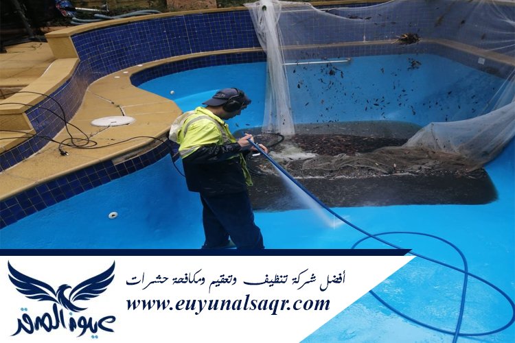 شركة تنظيف مسابح بالمدينة المنورة