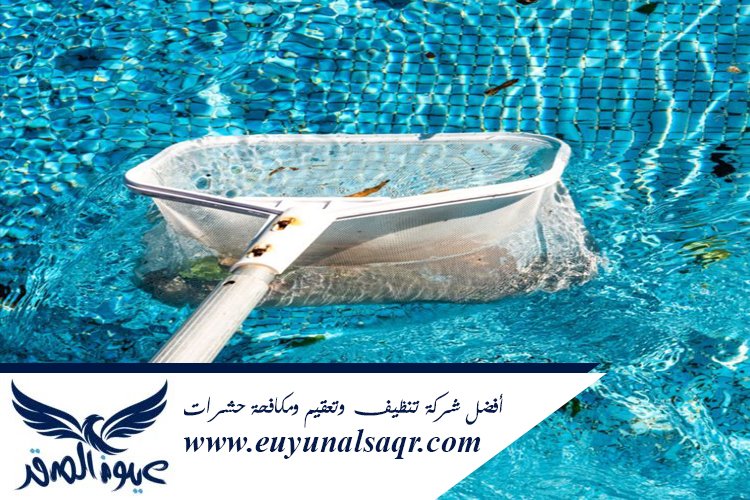 شركة تنظيف مسابح بالمدينة المنورة
