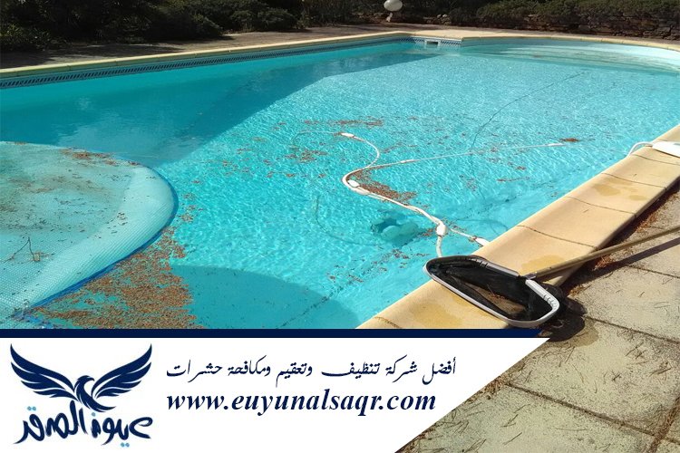 شركة تنظيف مسابح بالمدينة المنورة