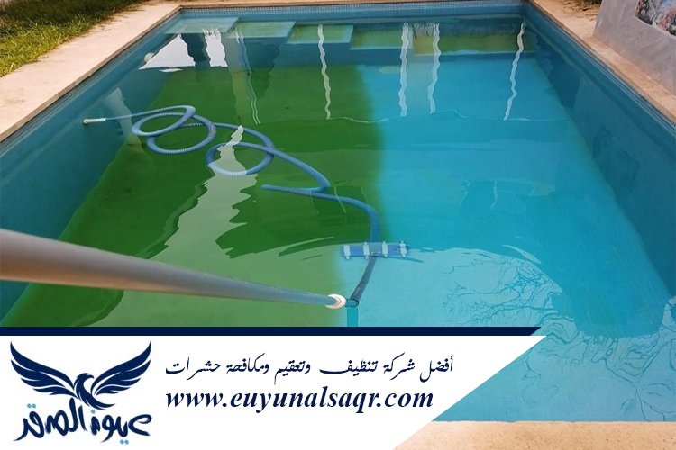 شركة تنظيف مسابح بالمدينة المنورة