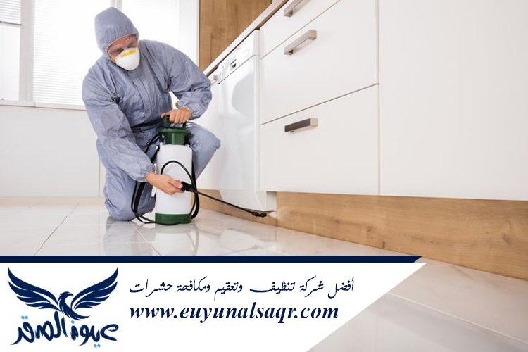 شركة مكافحة العته بالمدينة المنورة