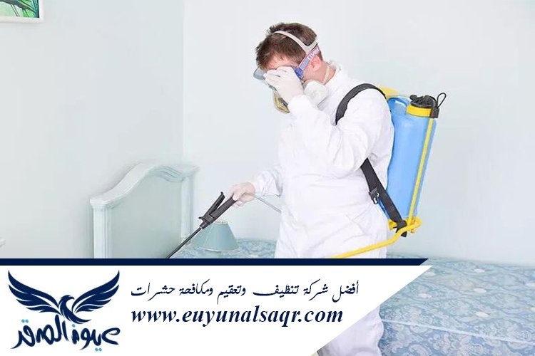 شركة مكافحة العته بالمدينة المنورة