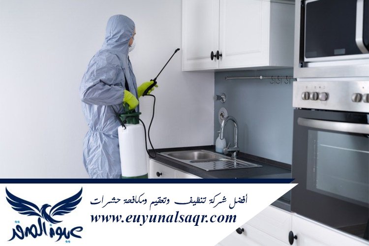 شركة مكافحة العته بالمدينة المنورة