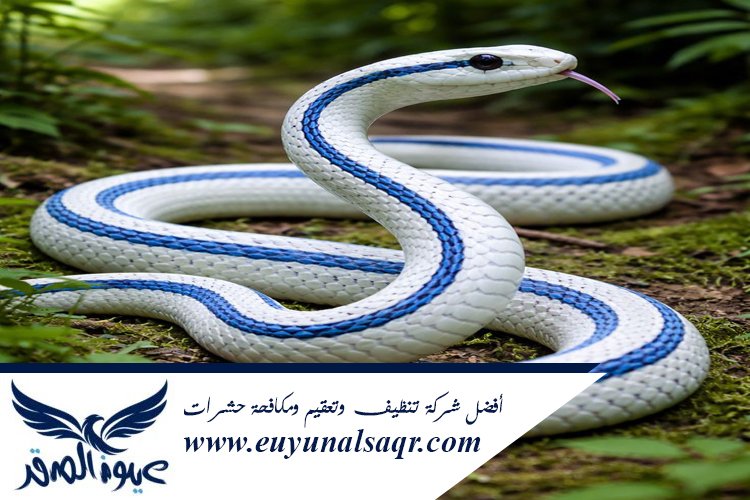 شركة مكافحة الثعابين بالمدينة المنورة