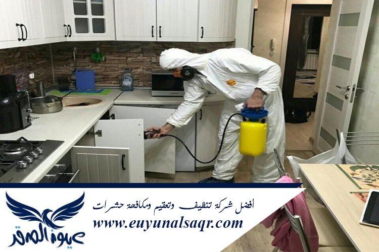 شركة مكافحة حشرات بالمدينة المنورة