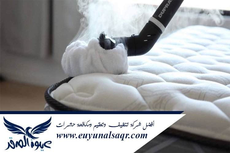 شركة تنظيف مفروشات بالبخار بالمدينة