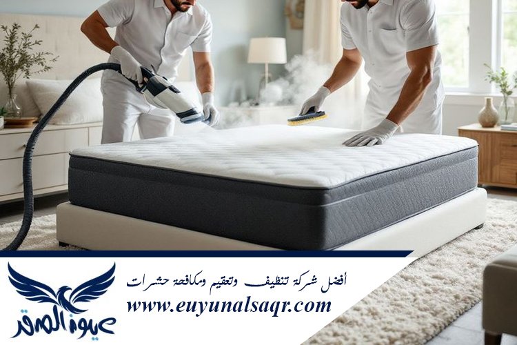 شركة تنظيف مفروشات بالبخار بالمدينة
