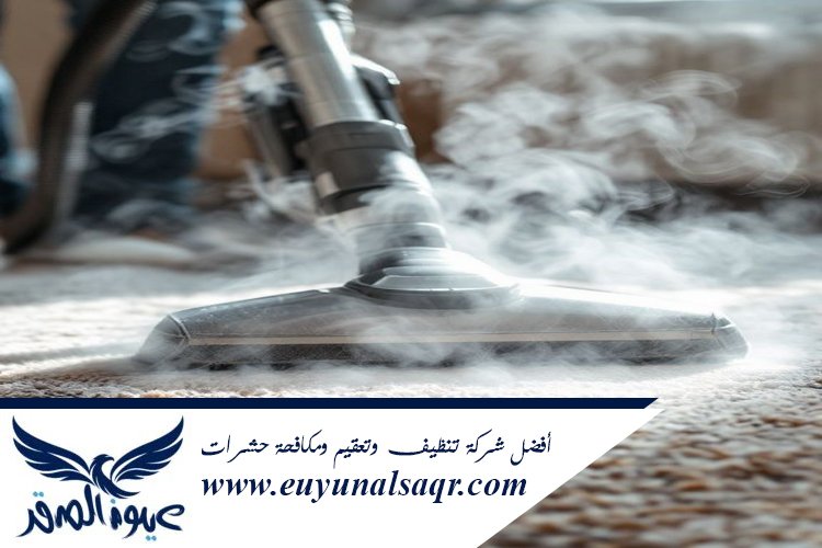 شركة تنظيف سجاد بالبخار بالمدينة