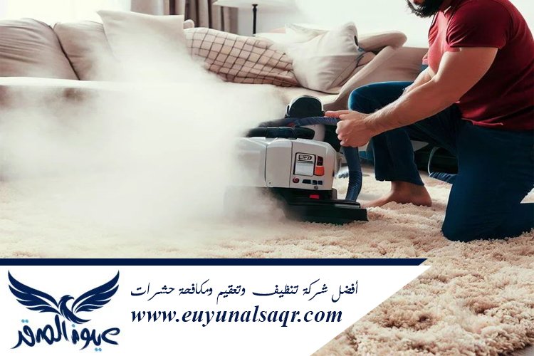 شركة تنظيف سجاد بالبخار بالمدينة